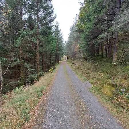 The Old Vikedal