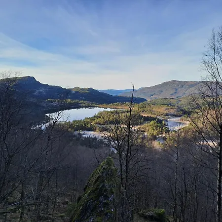 The Old Vikedal